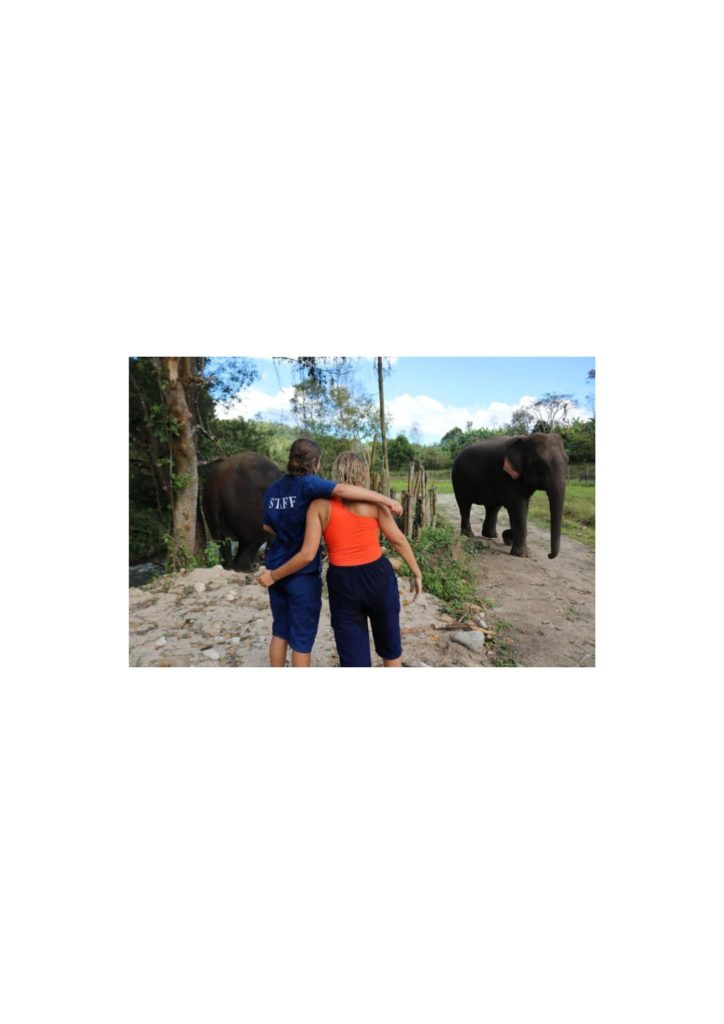 Visiting an Elephant Sanctuary in Thailand