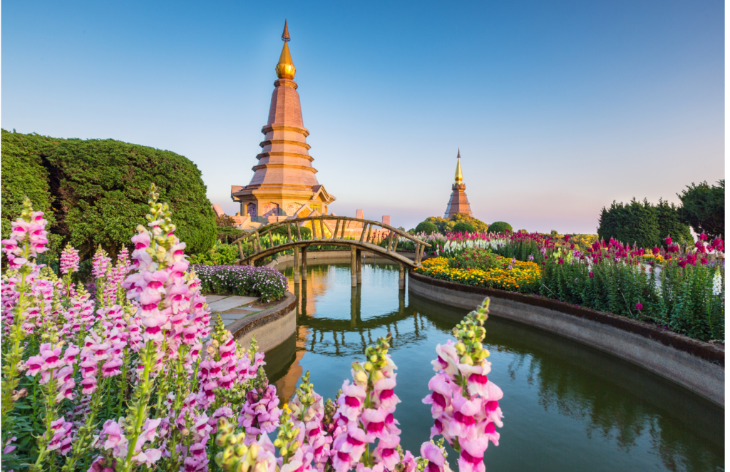 Backpacking Chiang Mai, Thailand