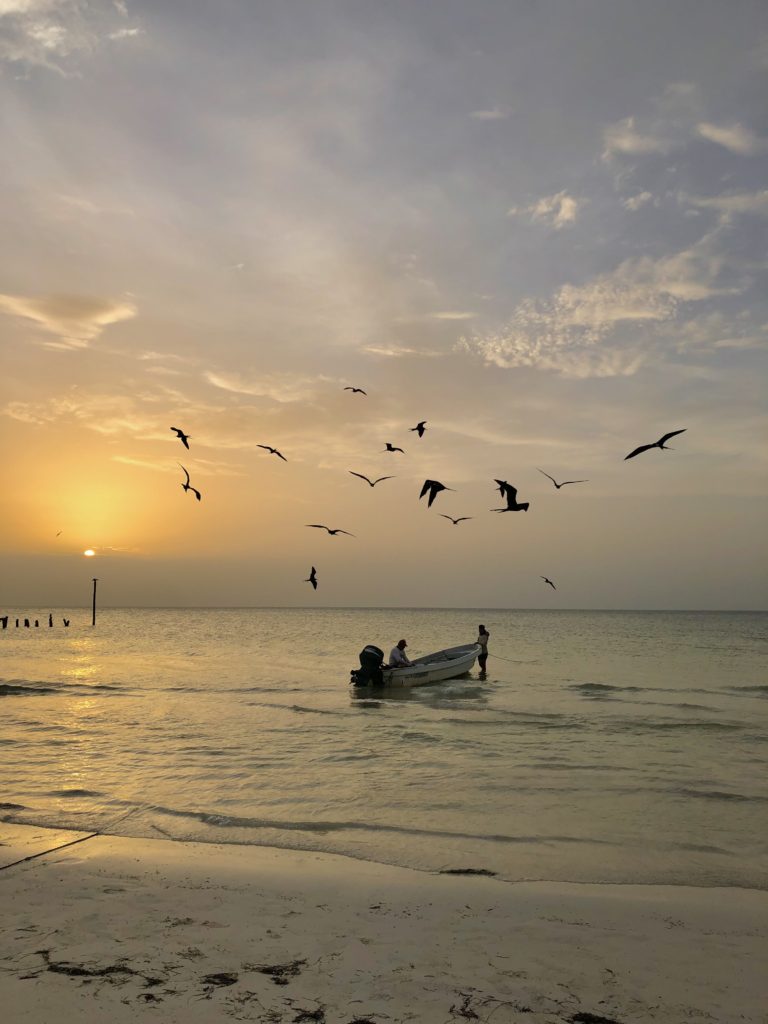 A backpackers guide to Isla Holbox, Mexico