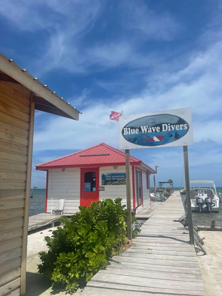 PADI COURSE CAYE CAULKER