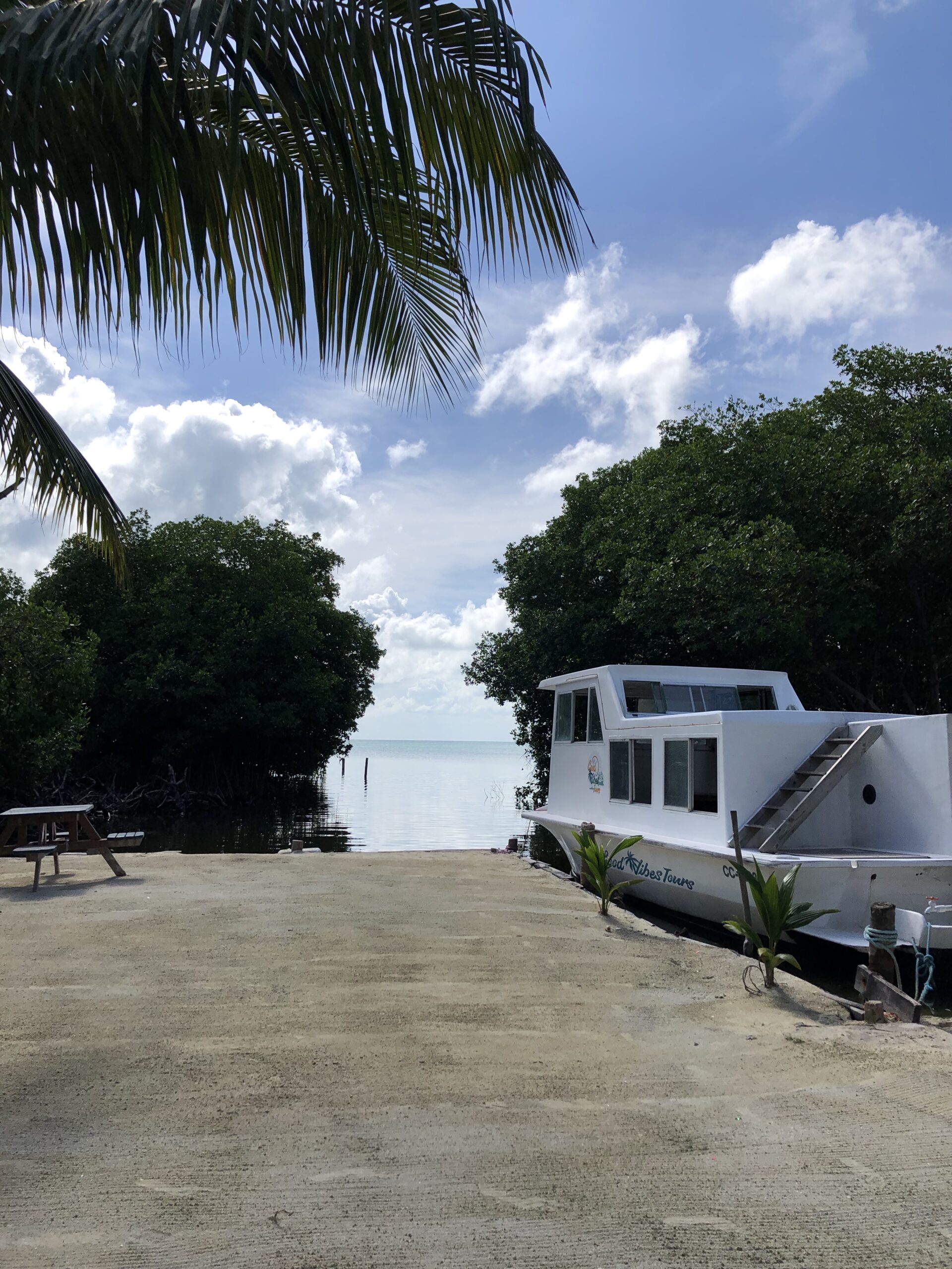 bellas backpackers caye caulker