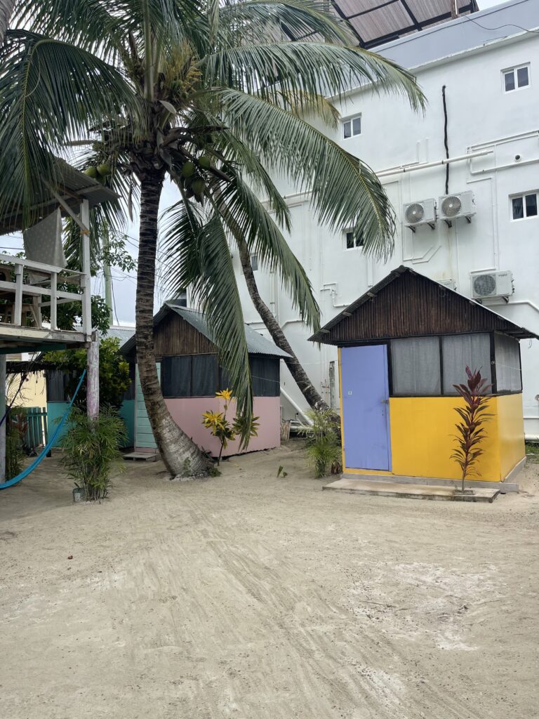 tropical oasis caye caulker