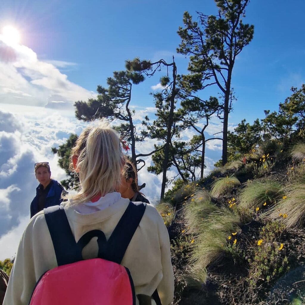 What travel insurance is the best for backpacking?