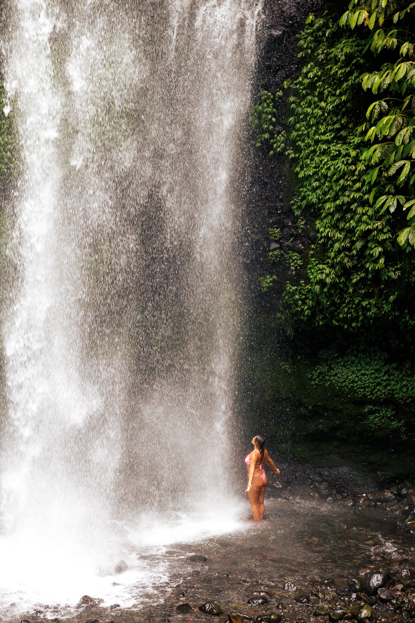 Indonesia: Wild & Wondrous - Image 37