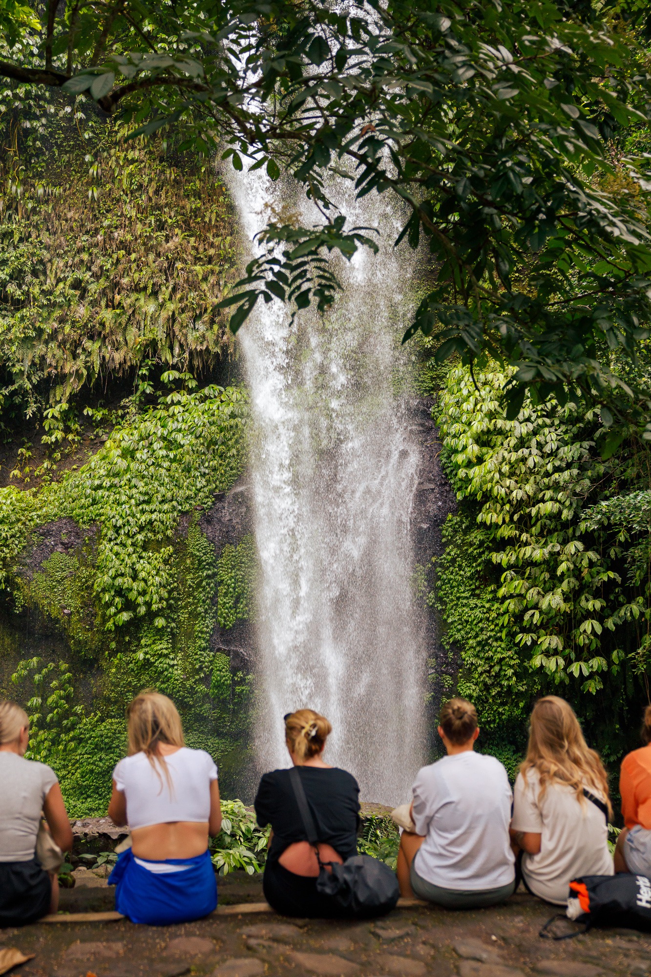 Indonesia: Wild & Wondrous - Image 30