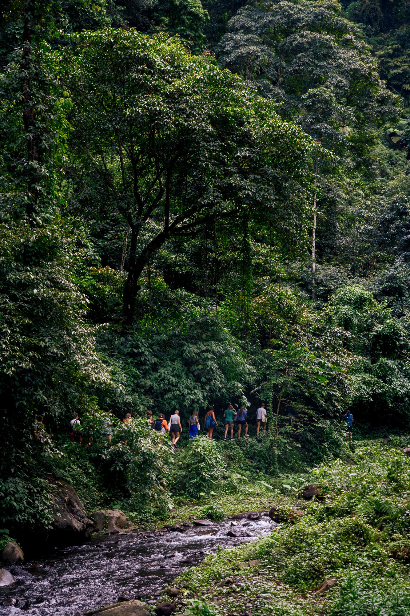 Indonesia: Wild & Wondrous - Image 36