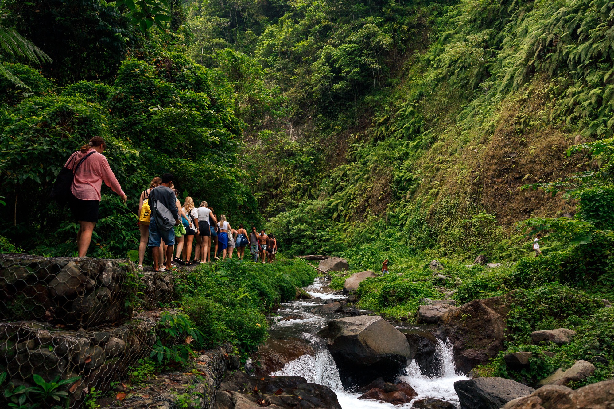 Indonesia: Wild & Wondrous - Image 2