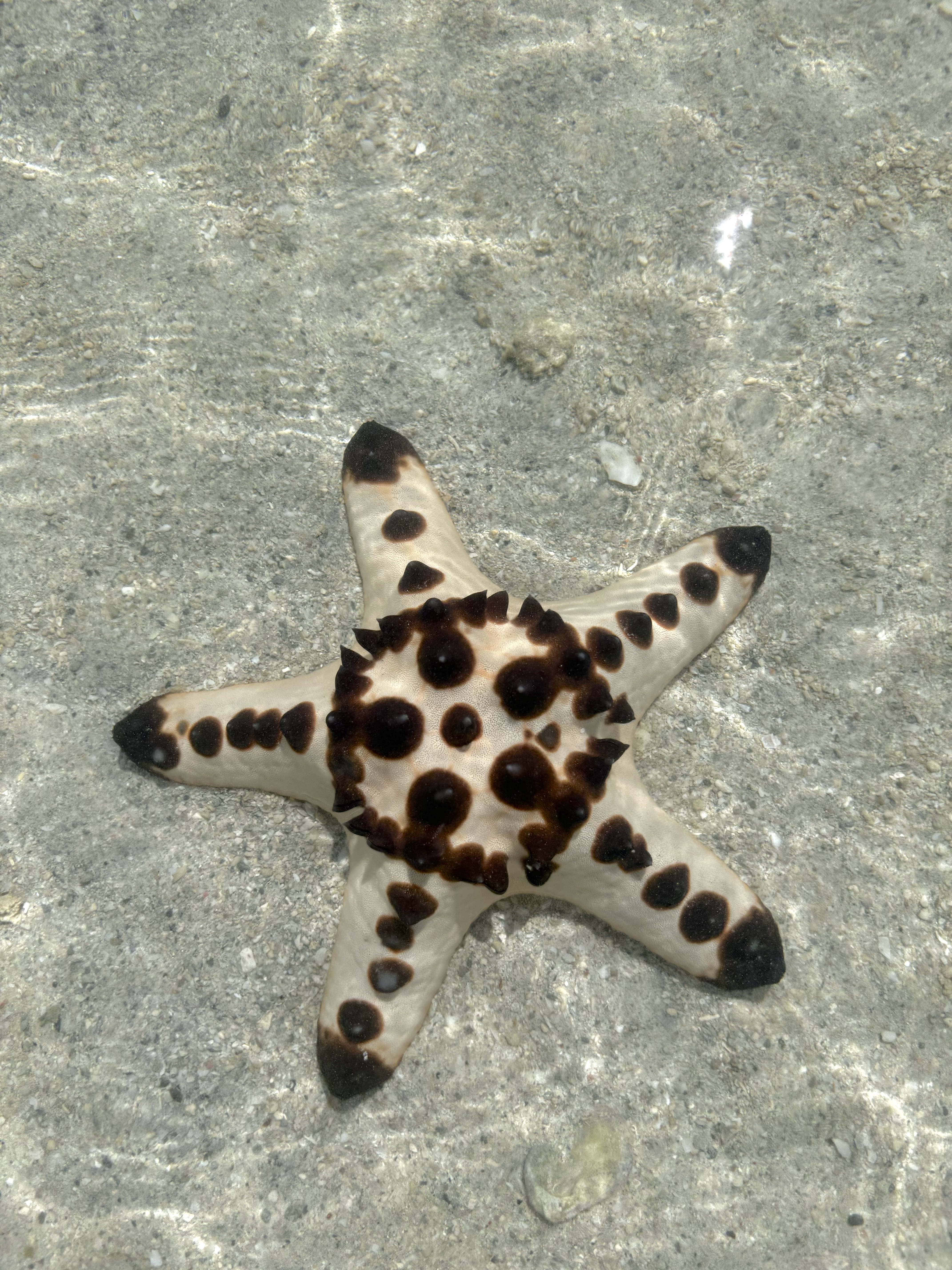 Philippines: Pearlescent & Pristine - Image 21