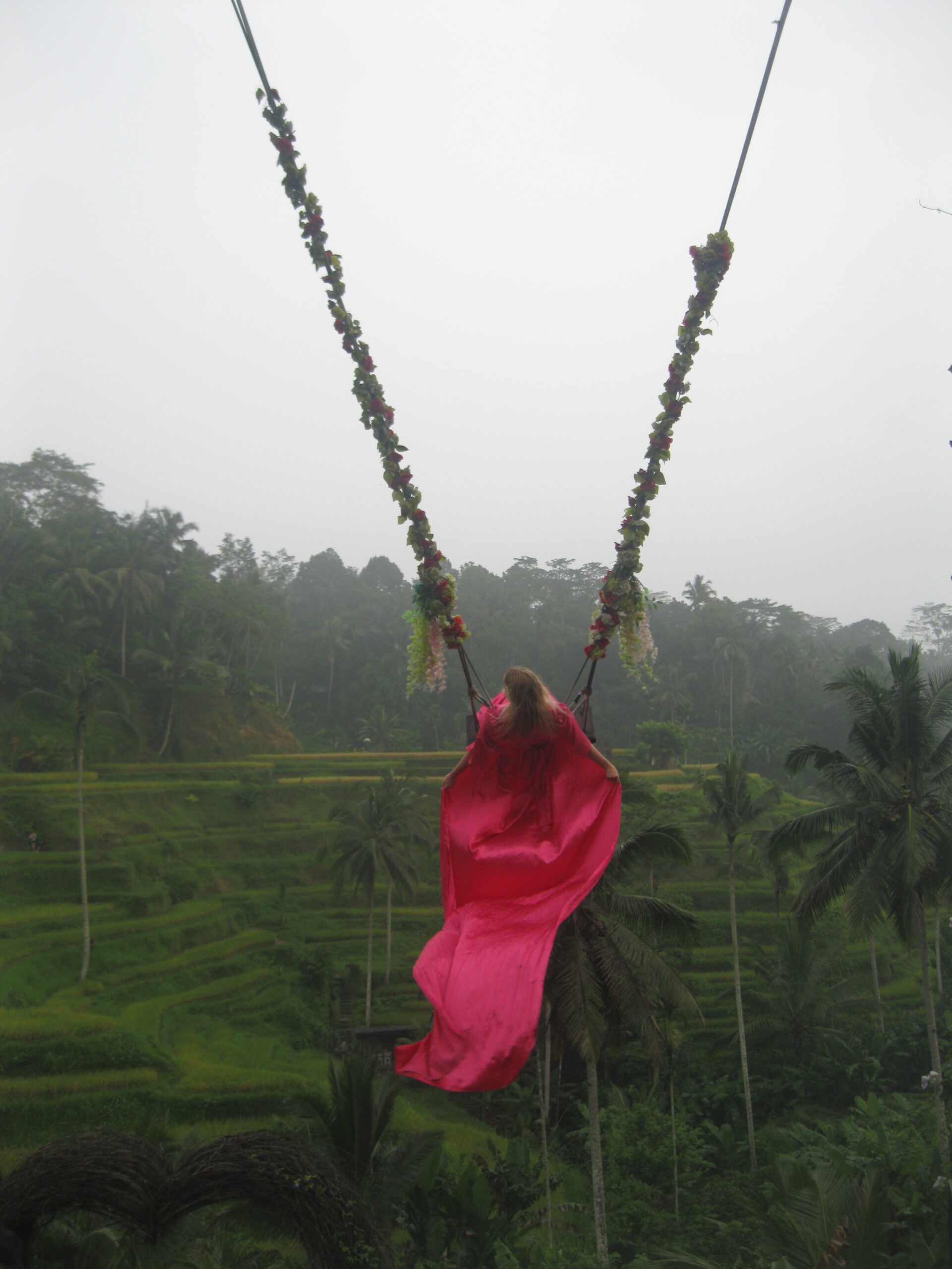 Indonesia: Wild & Wondrous - Image 9