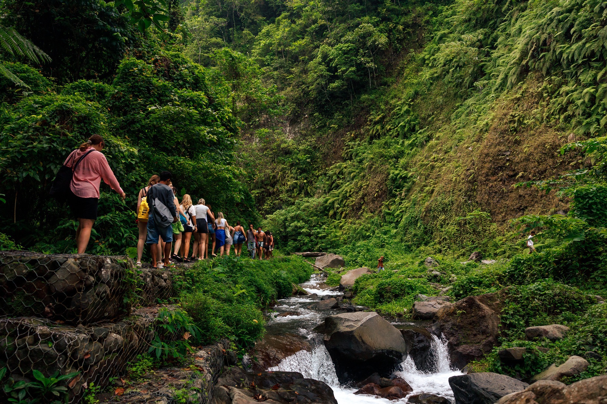Indonesia: Wild & Wondrous - Image 26
