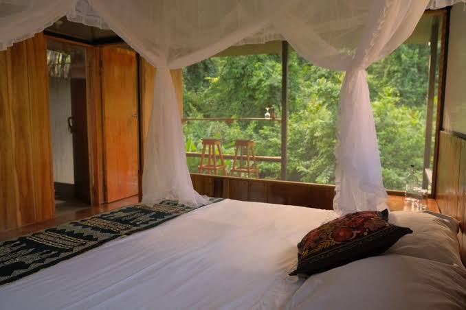 Private room in the Amazon Rainforest